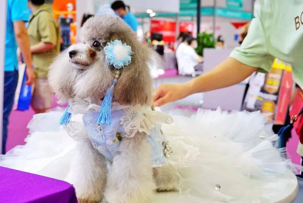 1716795530558578.png image.png